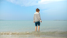Rear View Of Little Boy In Sweater Walking On Sandy Beach And Entering Sea Water. Holiday, Vacation, Weekend At Nature.