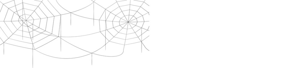 Wall Mural - halloween cobweb background. halloween cobweb wallpaper. cobweb background.