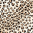 Leopard - zwierzęcy wzór. Futro leoparda. Plamki i kropki  na skórze zwierzęcia. Dziki kot. Wektorowy wzór.