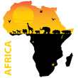 vector illustration for the animals of africa