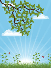 Poster - Summer background with a tree branch. Vector illustration.