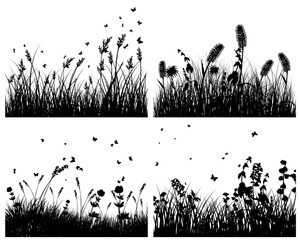 Poster - Set of four vector grass silhouettes backgrounds