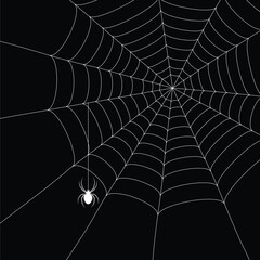 white  spider and spider web isolated on the  black background