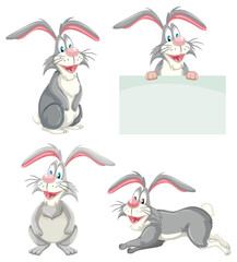 Wall Mural - set of rabbit cartoon in different pose