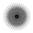 © Pongsatorn - black and white mandala pattern drawing resembling spiky flowers used for decoration 7