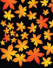 Canvas Print - autumn leaves on a black background