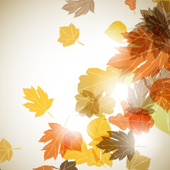 Wall Mural - autumn background