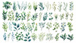 © Vector point - Set watercolor elements of pink roses; collection garden flowers; leaves; branches. Botanic Wedding floral design. Collection of greenery leaf plant forest herbs tropical leaves.