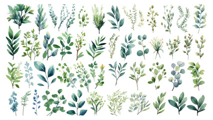 Set watercolor elements of pink roses; collection garden flowers; leaves; branches. Botanic Wedding floral design. Collection of greenery leaf plant forest herbs tropical leaves. 