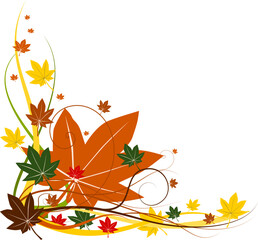 Wall Mural - Autumn vector floral background