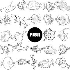 Wall Mural - cartoon fish marine animal characters set coloring page