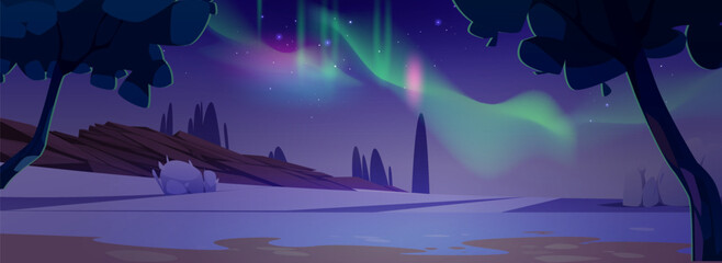 Wall Mural - aurora borealis in night polar sky, many stars above snowy territory. vector cartoon illustration of