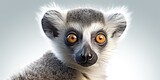 AI Generated. AI Generative. Photo Illustration of baby face lemur madagascar african animal. Graphic Art