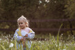 © Юлия Клюева - Happy beautiful girl of 3 years blowing on a dandelion on a sunny summer evening. A child in the fresh air, in nature. The setting sun.