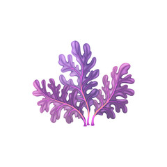 Wall Mural - Cartoon underwater carrageenan moss seaweed plant. Aquarium and sea algae. Aquarium marine plant, tropical sea aquatic flora or ocean underwater deep weed, coral reef isolated vector undersea algae