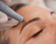 © Michael Cunningham/peopleimages.com - Microblading, eyebrow and woman for beauty, skincare and cosmetics with collagen treatment or wellness. Customer, people or dermatology worker hands with microneedling, hair or face permanent makeup
