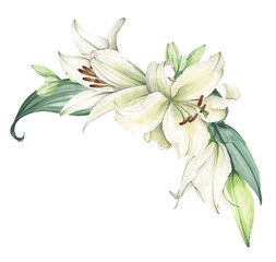 White lily. Floral bouquet. Hand drawn clipart for wedding invitations, birthday stationery, greeting cards, scrapbooking. Watercolor illustration.