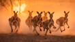 Kangaroos during the escape from an Australian bushfire