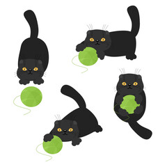 Set with black cat and green clew