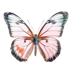 Wall Mural - pastel butterfly isolated on transparent background cutout