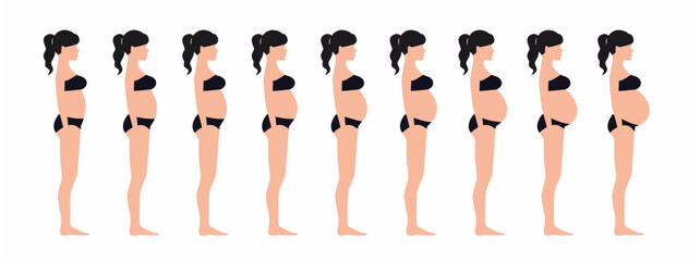 Pregnant woman silhouette, stages of pregnancy