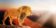 Single lion looking regal standing proudly on a hill, power concept