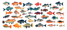 Set Of Fish, Flat Cartoon Isolated On White Background. Vector Illustration