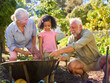 © Monkey Business - Granddaughter Helping Grandparents Working In Vegetable Garden Or Allotment With Barrow At Home