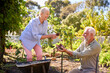 © Monkey Business - Retired Senior Couple Working In Vegetable Garden Or Allotment With Barrow At Home