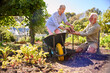 © Monkey Business - Retired Senior Couple Working In Vegetable Garden Or Allotment With Barrow At Home