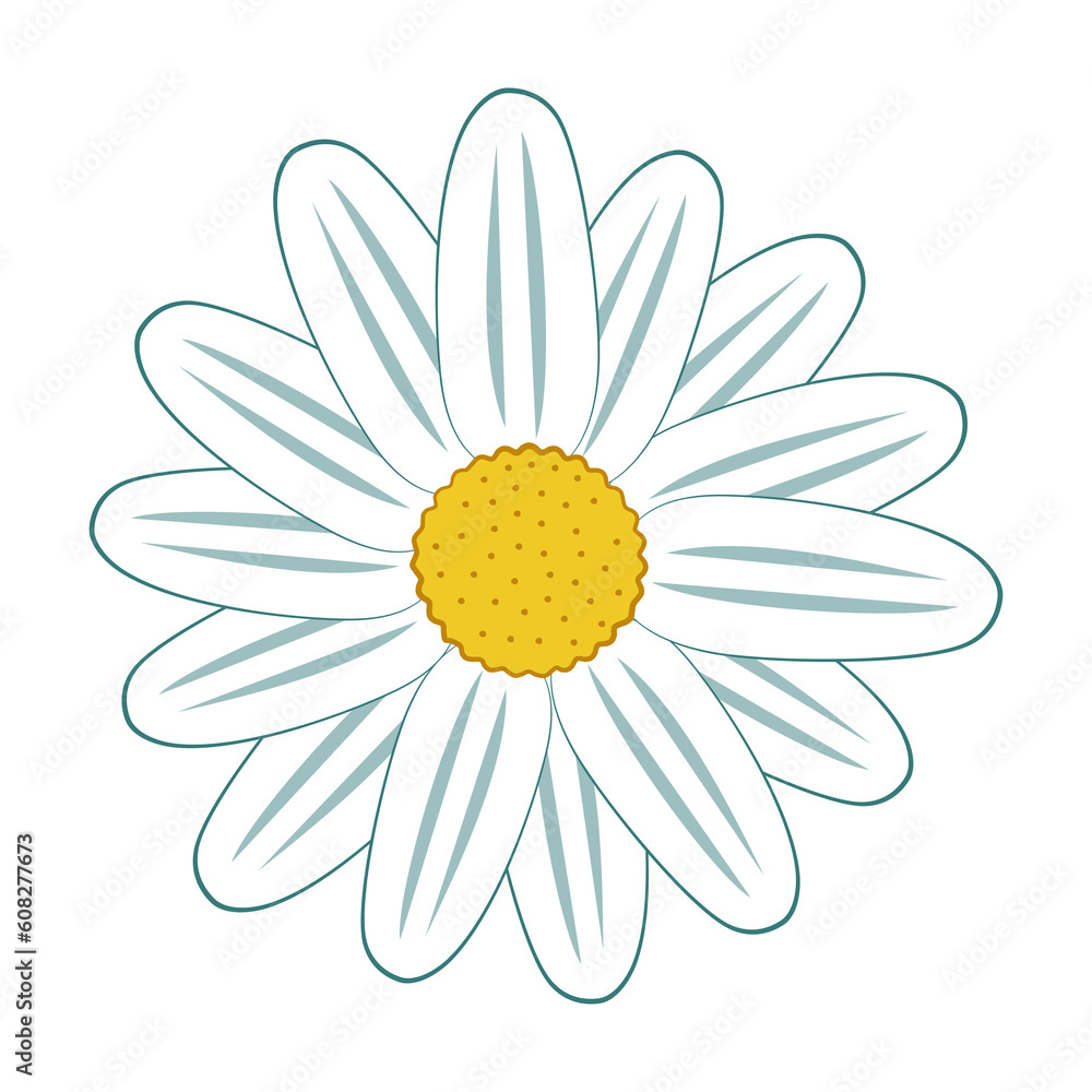 Daisy flower head isolated vector illustration in simple colorored ...