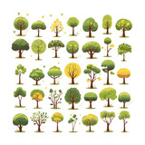Fototapeta Dziecięca - trees flat vector illustrations set. Exotic beach plants isolated design elements pack. Green leaves branches and trunks cartoon collection on white background.
