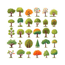 Trees Flat Vector Illustrations Set. Exotic Beach Plants Isolated Design Elements Pack. Green Leaves Branches And Trunks Cartoon Collection On White Background.
