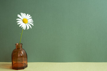 Wall Mural - Glass vase of white flower on table. green wall background. minimal object