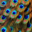  a close up of a peacock's feathers with a blue heart in the center.  generative ai