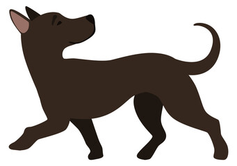 Sticker - Funny black puppy walking. Dog side view