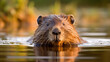 beaver swimming on water. generative ai