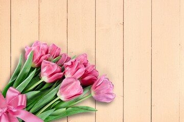 Wall Mural - Beautiful fresh colored flowers on background