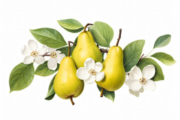 Wall Mural - Fresh Pear Fruits. Ai generative