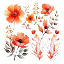 Set Of Floral Watecolor Orange And Red. Flowers And Leaves. Floral Poster, Invitation Floral. Vector Arrangements For Greeting Card Or Invitation Design
