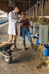 Wall Mural - A vet and a cowgirl are at the animal farm