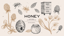 Hand Drawn Large Set On Beekeeping. Beehive, Jar With Honey, Bees, Clover Flowers And Linden Trees Vector Illustration On Light Isolated Background. Organic Food. Healthy Eating And Vegetarianism.