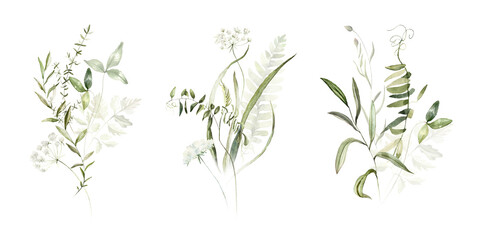 Wall Mural - Wild field herbs flowers plants. Watercolor bouquet collection - illustration with green leaves, branches and colorful buds. Wedding stationery, wallpapers, fashion, backgrounds, prints. Wildflowers.