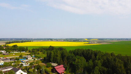 Wall Mural - Aerial view of the yellow agricultural agro fields of rapeseed plant culture. Photography for the background of tourism, design, advertising and agro business