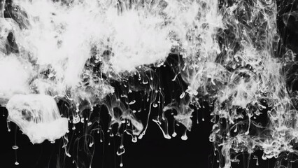 Wall Mural - abstract background reveal horror paranormal background artistic grunge artistic flow splatter texture overlay spread inkblot effect grimy creepy intro black and white	
