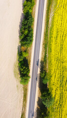 Wall Mural - Aerial view of the road and the yellow agricultural agro field of rapeseed. Background for tourism, design, advertising and agro business