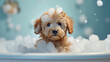 Baby puppy dog taking a bath full of soap foam created with generative AI technology