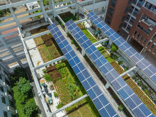 Wall Mural - solar panels on the school roof.