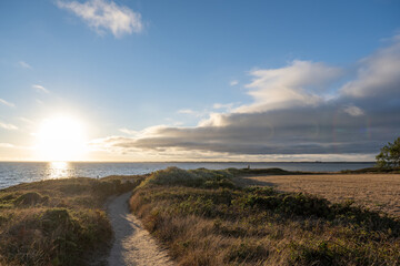 Canvas Print - Coastal path