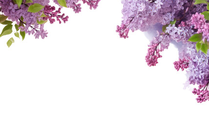 Sticker - delicate lilac flowers as a frame border, isolated with negative space for layouts